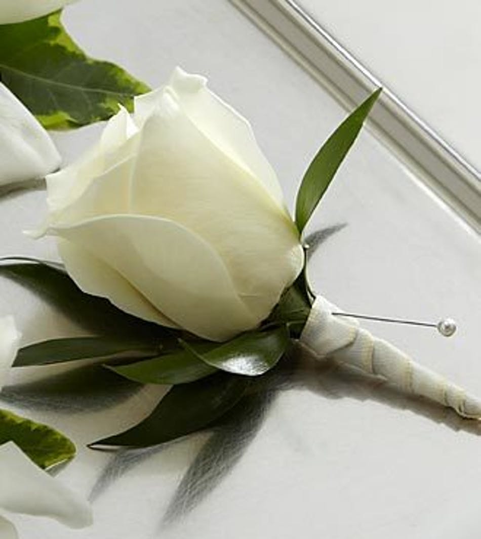 Designed after the snow covered peaks of the rookies this white rose