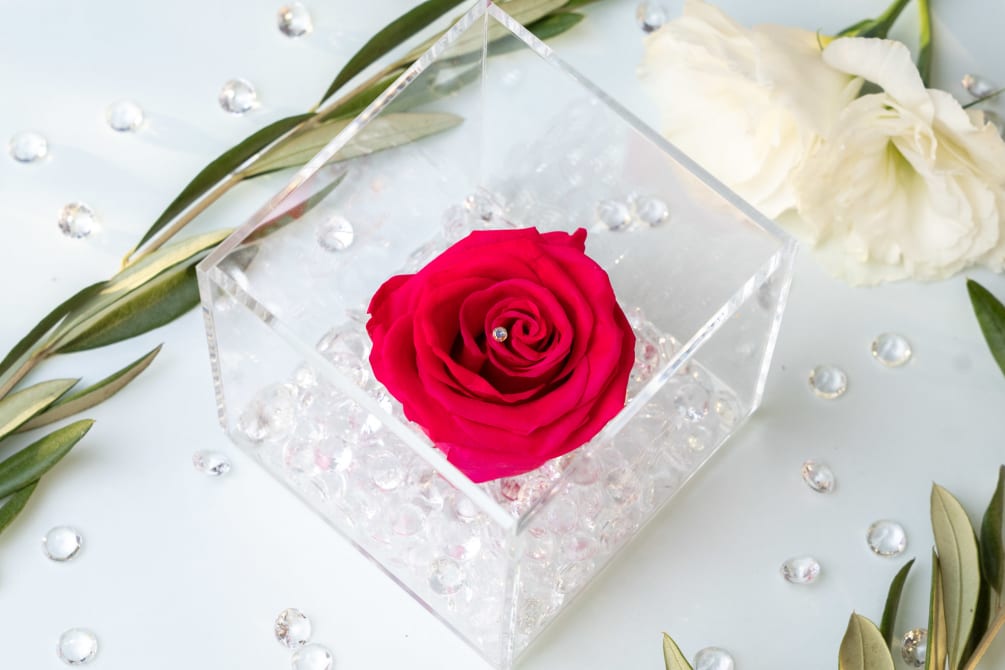 Meet our Everlasting Roses - Mini Edition! This is a REAL rose