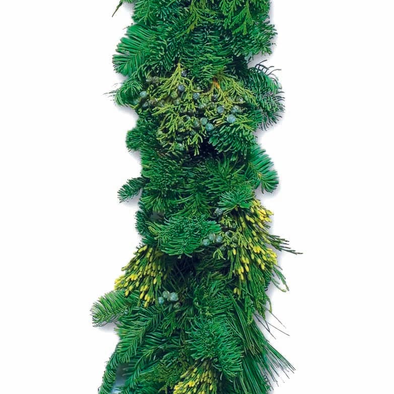 25' Deluxe Mixed Garland Roping with Noble Fir, Western Red Cedar