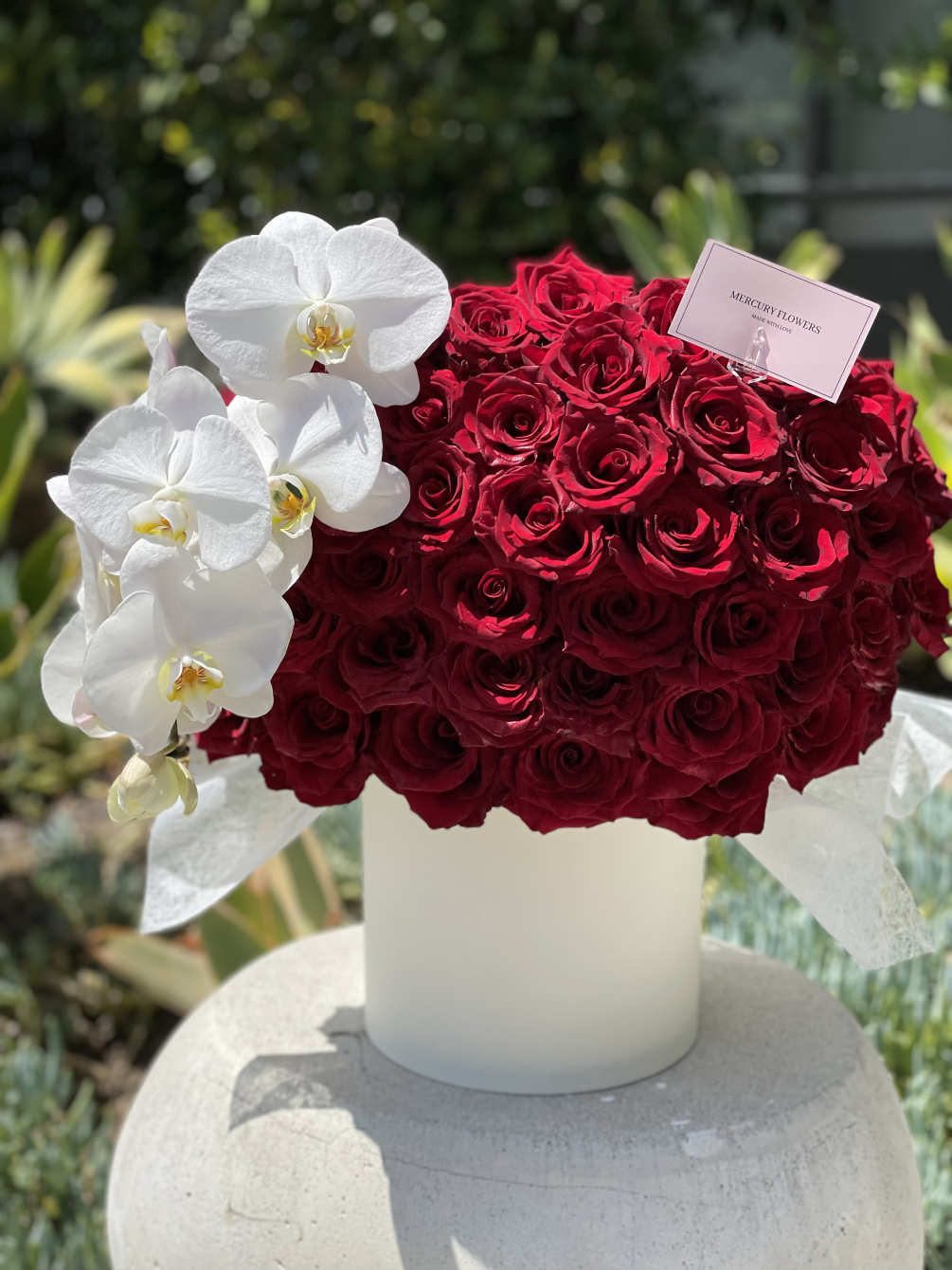 Gorgeous box with premium red roses and white fresh orchids 