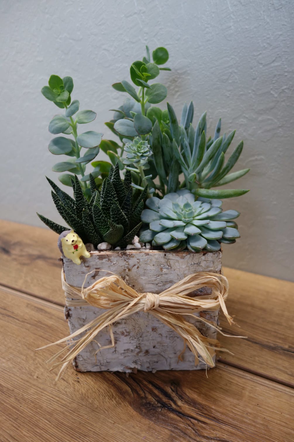 A natural rustic wooden planter with mixed succulents and a decorative straw