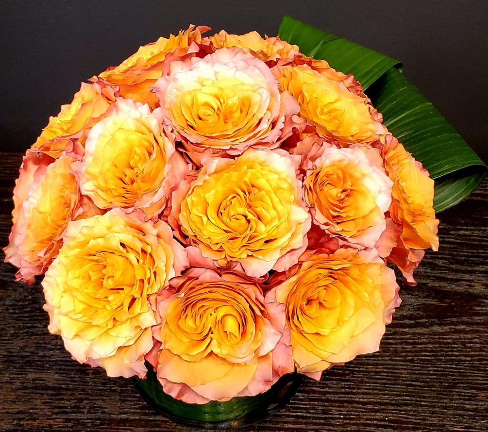 Modern Roses by David Brown Flowers