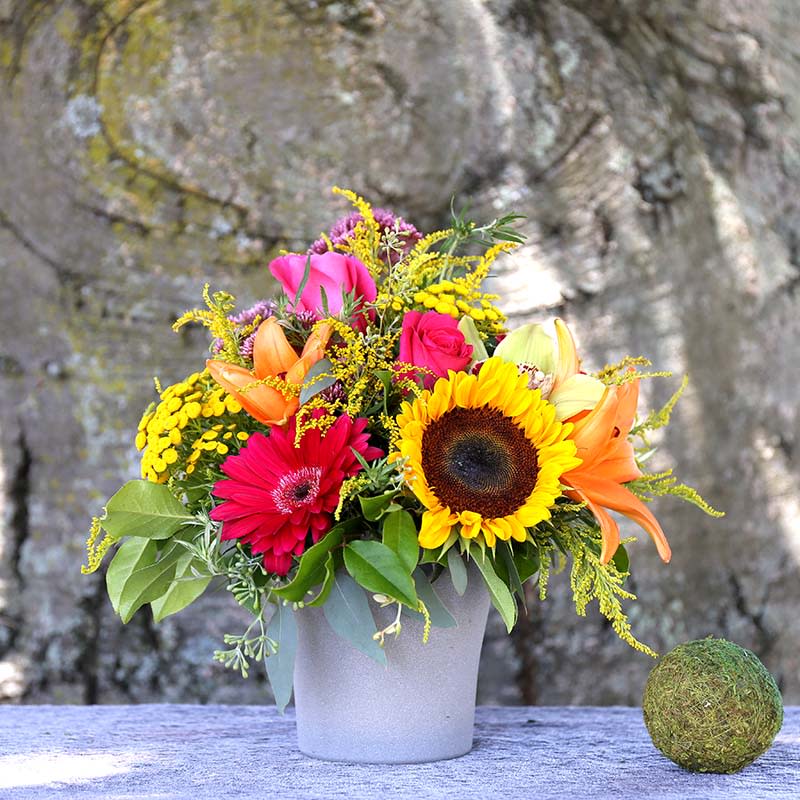 Sunflowers, Asiatic Orange lillies,Gerbera Daisies,Solidago and Roses. A colorful arrangement that may