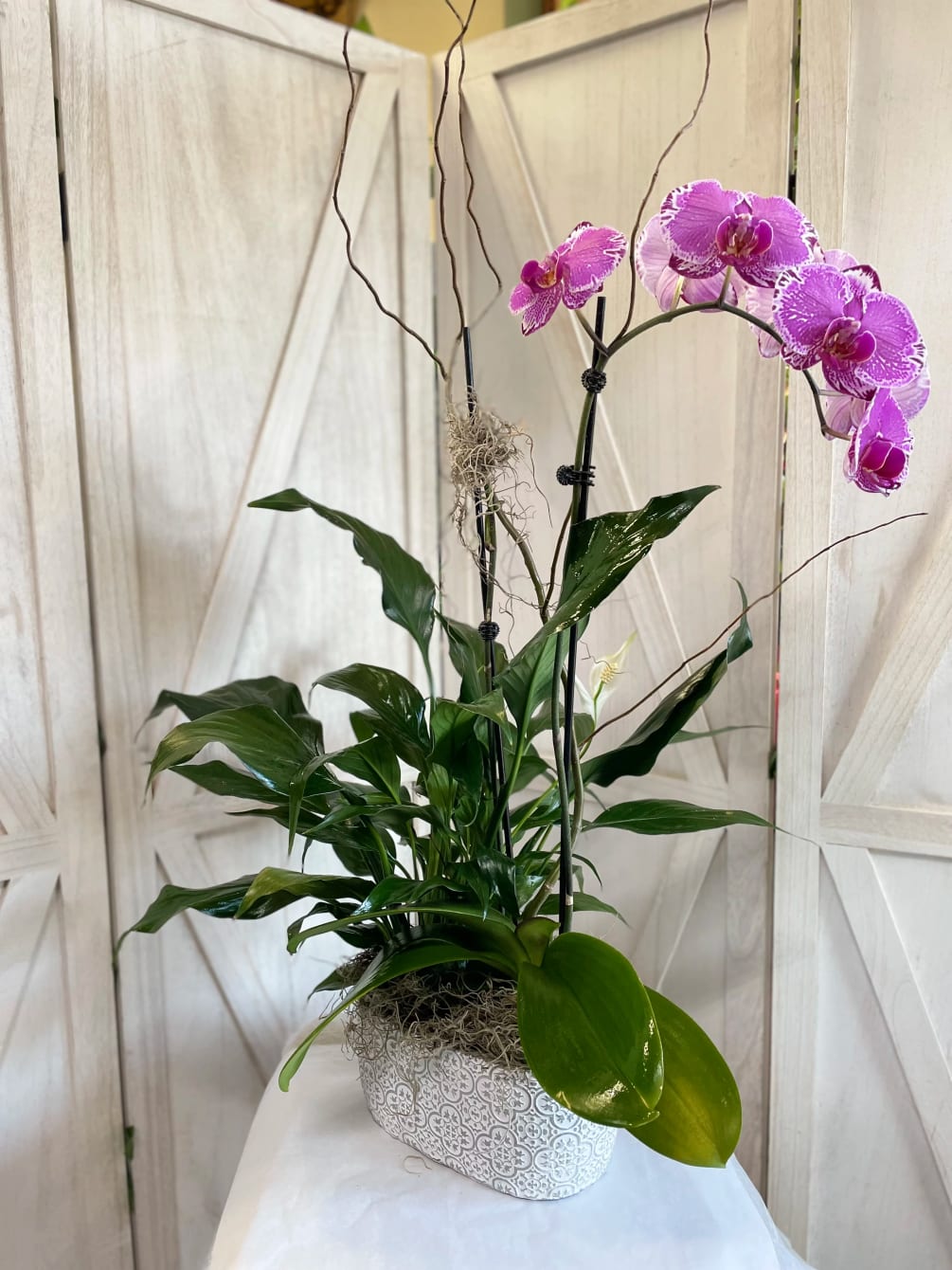 Purple premium orchid plant with an elegant peace lily! A beautiful gift
