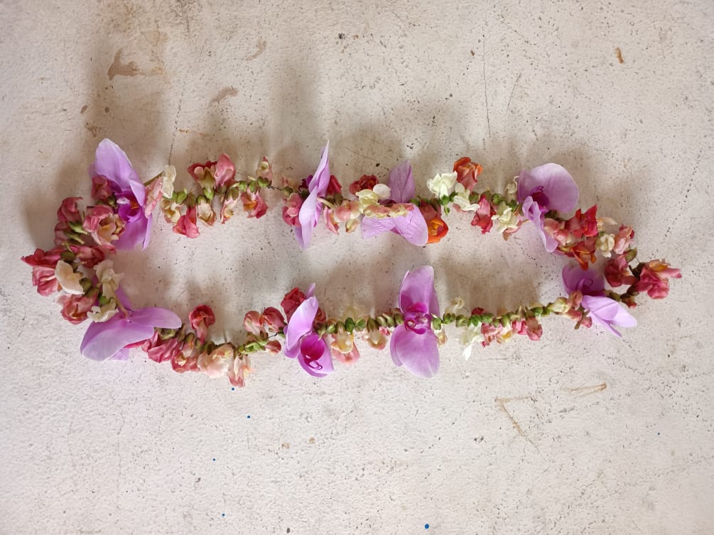 Graduation lei with phalaenopsis and snap dragons by Elena's Flowers