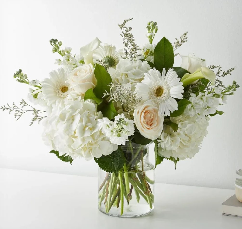 26 Types Of Filler Flowers And Greenery (And Their Meanings!) - Fif