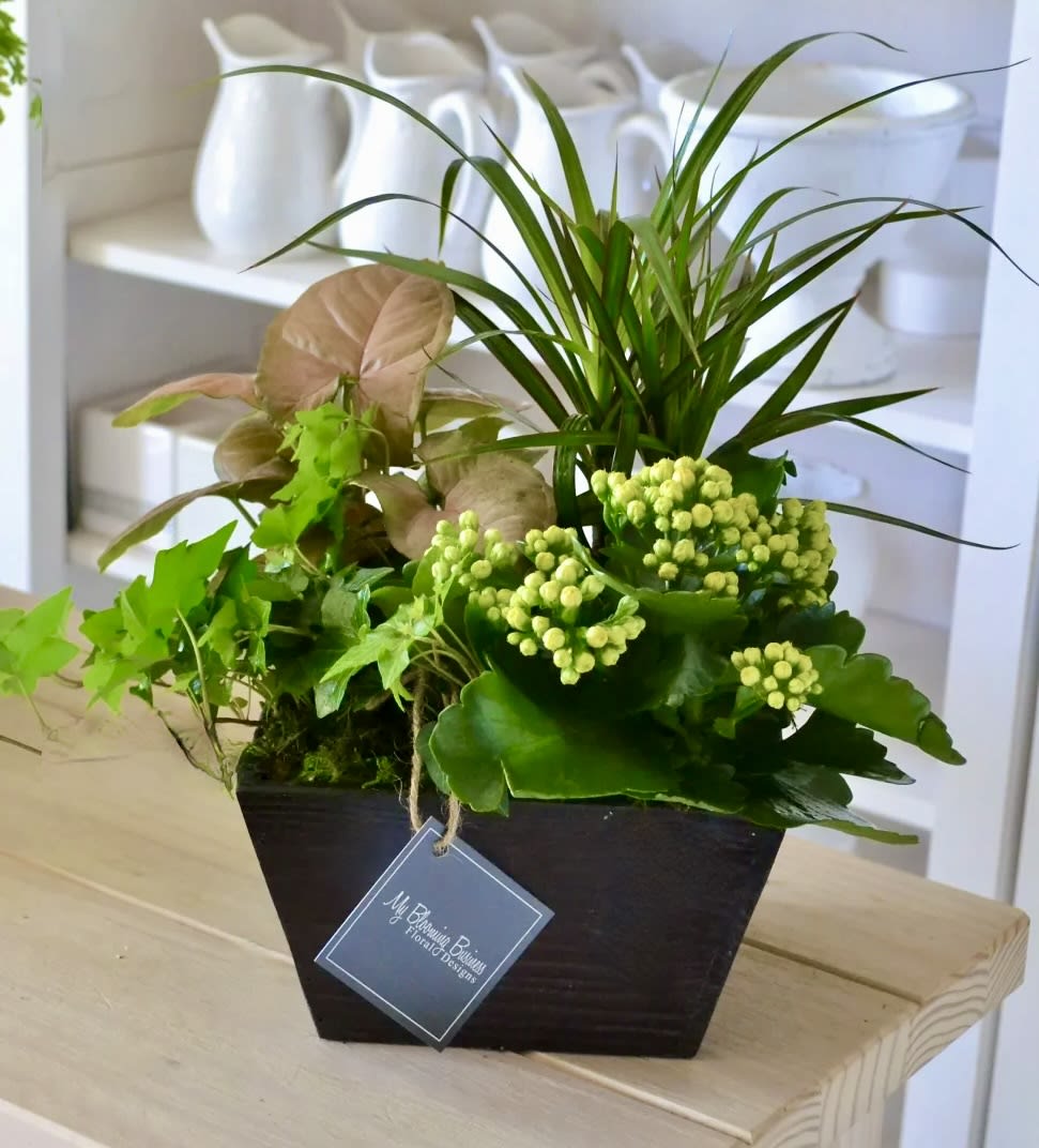 Not only is this box dish garden perfect for adding charming d&eacute;cor