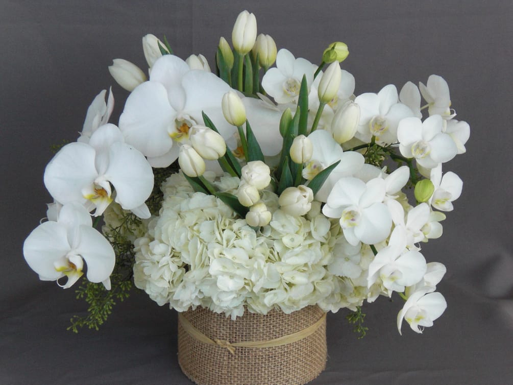 Fresh white hydrangea, complimented by elegant orchids, and white tulips in a