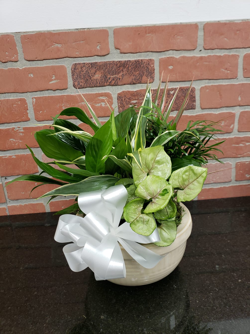Ceramic Dish Garden is a nice 5 different plants. The plants and