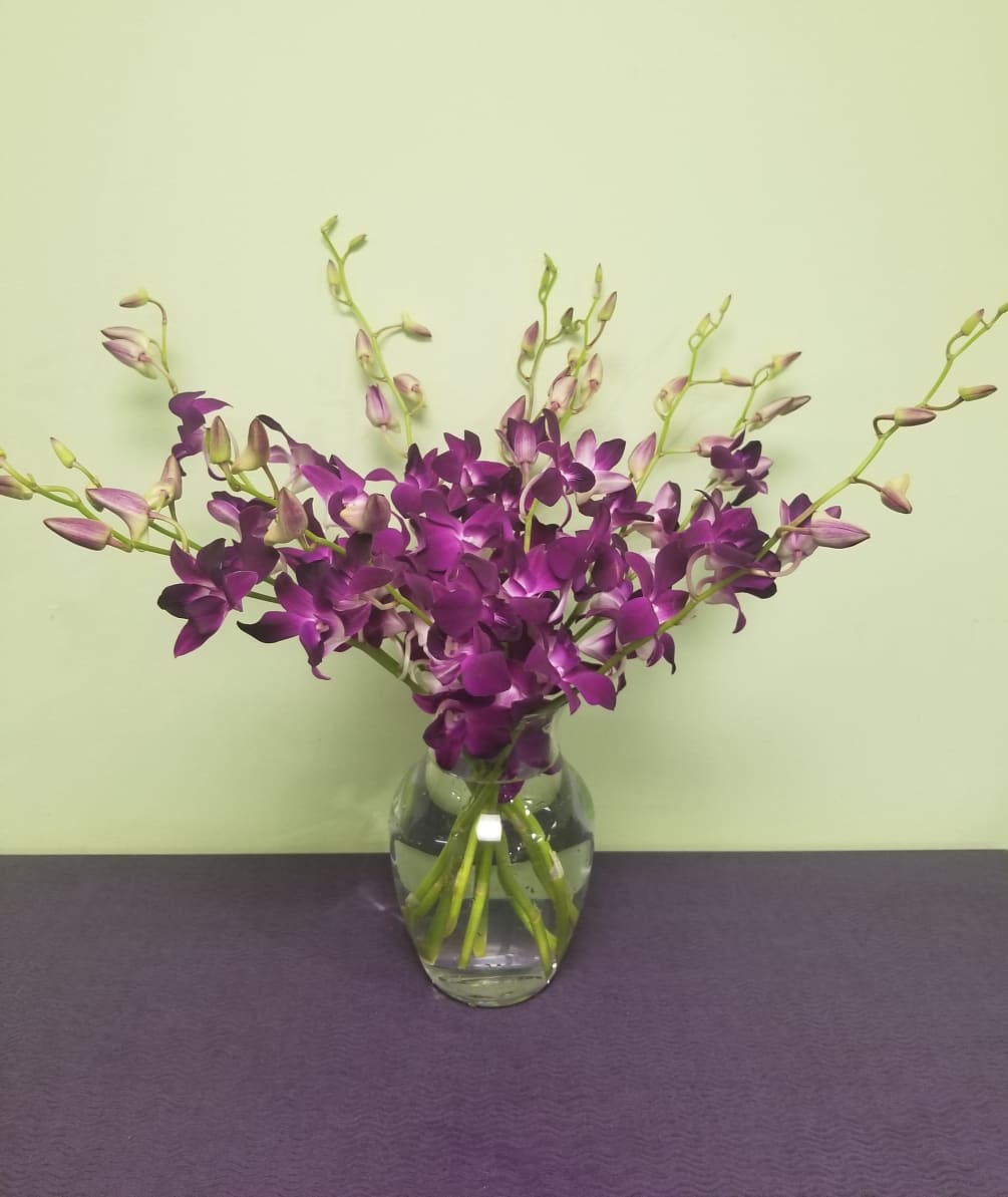 This is a beautiful arrangement full of purple variegated Dendrobium Orchids. 