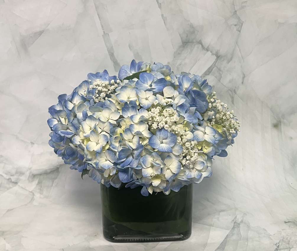 This arrangement is called &ldquo;Baby Blue&rdquo; for obvious reasons. It is a