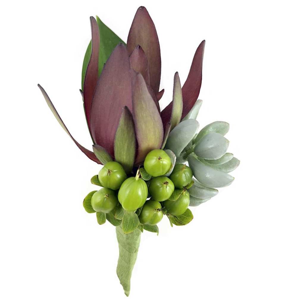 Boutonnieres for proms, dances and more! Safari sunset leucadendron, green hypericum berries