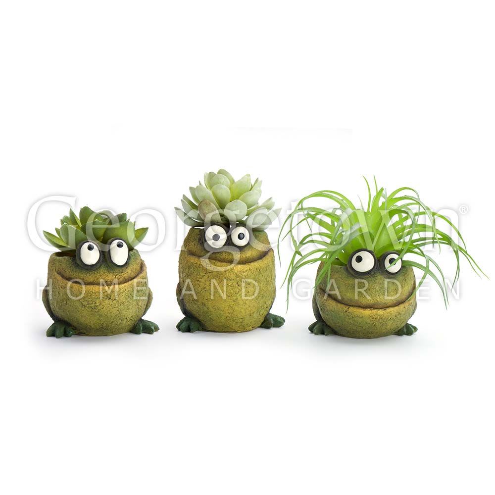 This is a set of triplet baby frog planters with air plants