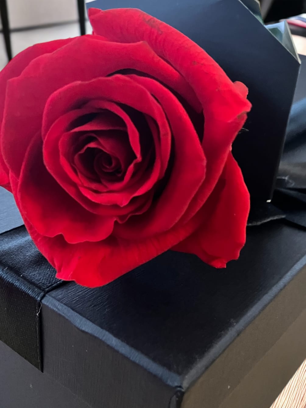 Send an everlasting preserved rose to your special someone. Fragrant and no