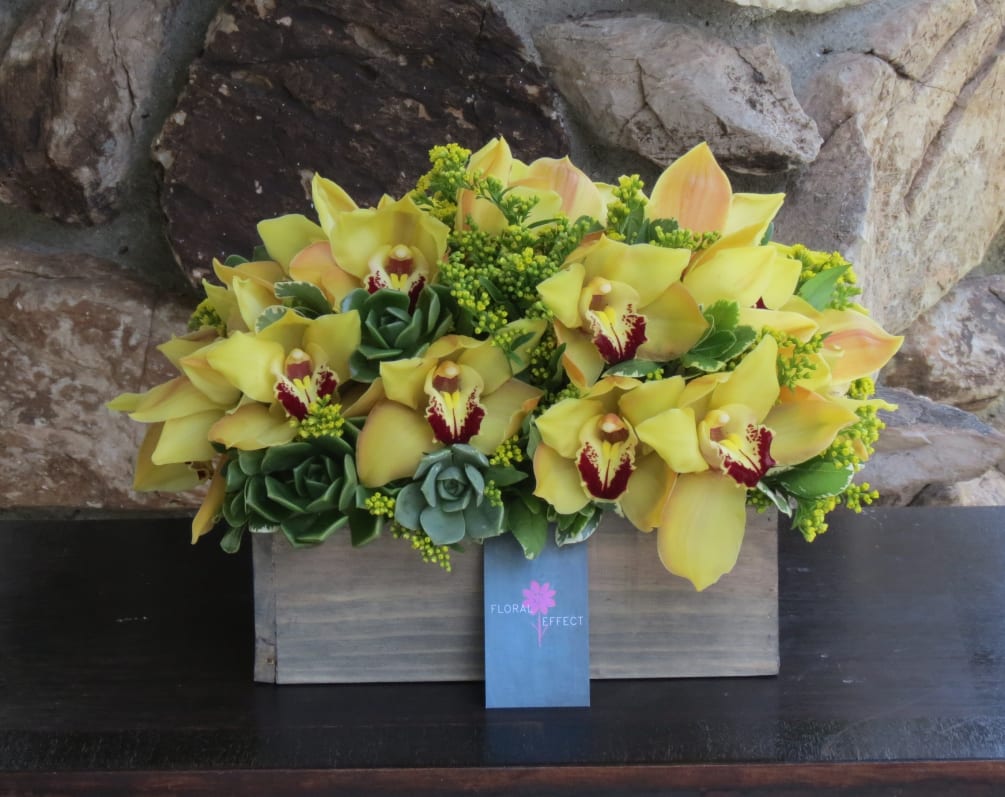 yellow cymbidiums and succulents arranged on a wood box