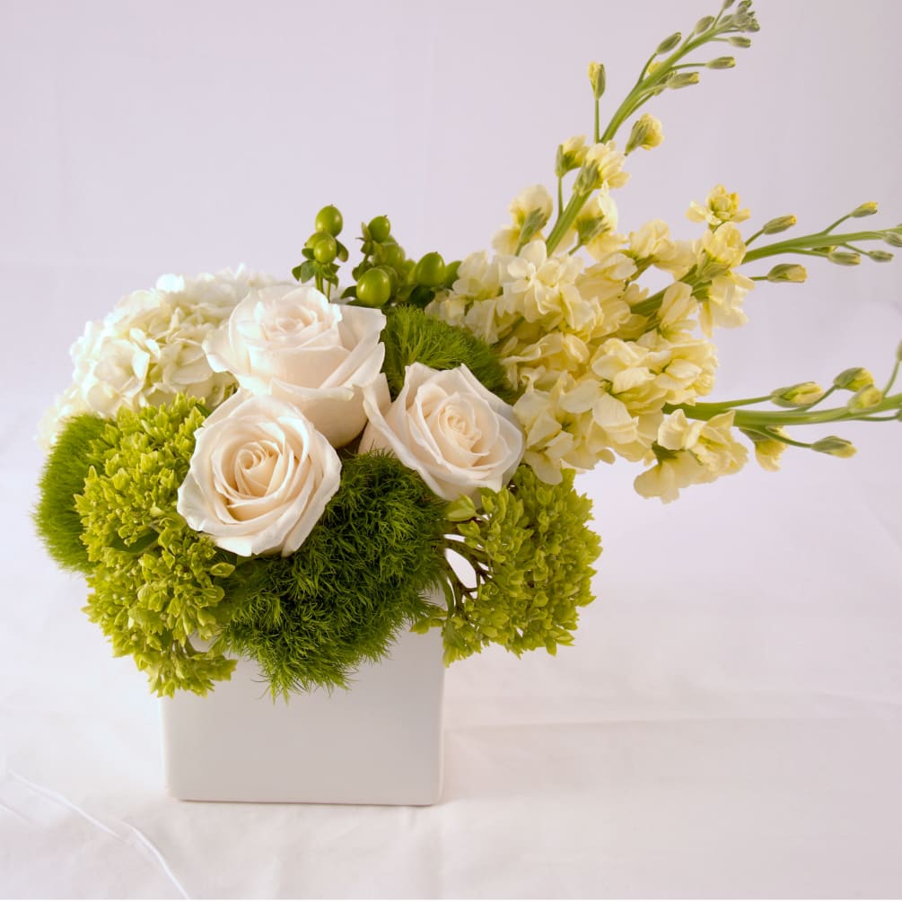 White and green arrangement for clean and modern look. Low compact design
