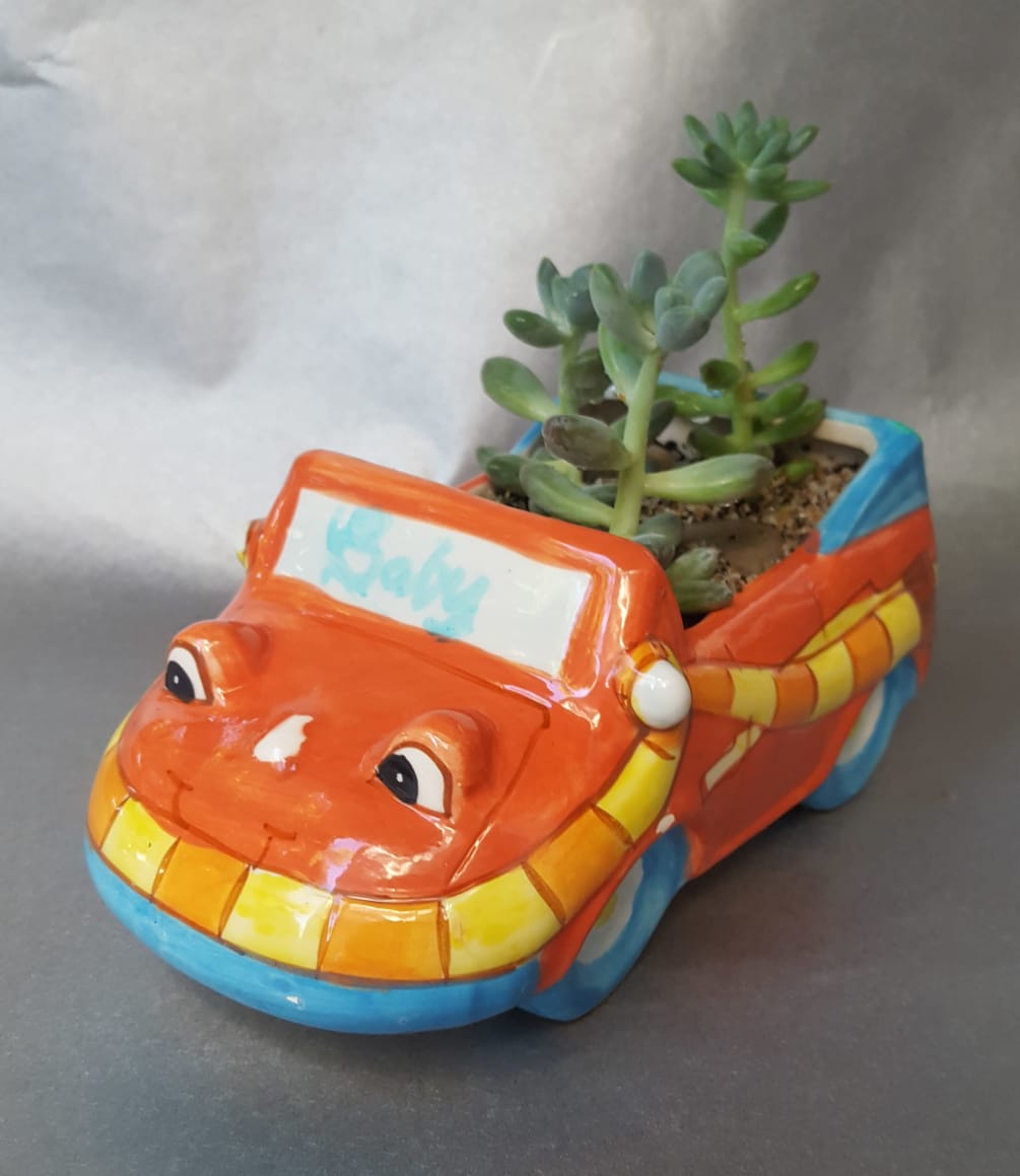 adorable little planter of succulents,  We can write on the windshield