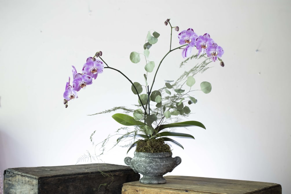 A new look at the potted Orchid design! Using branches, pods, grasses