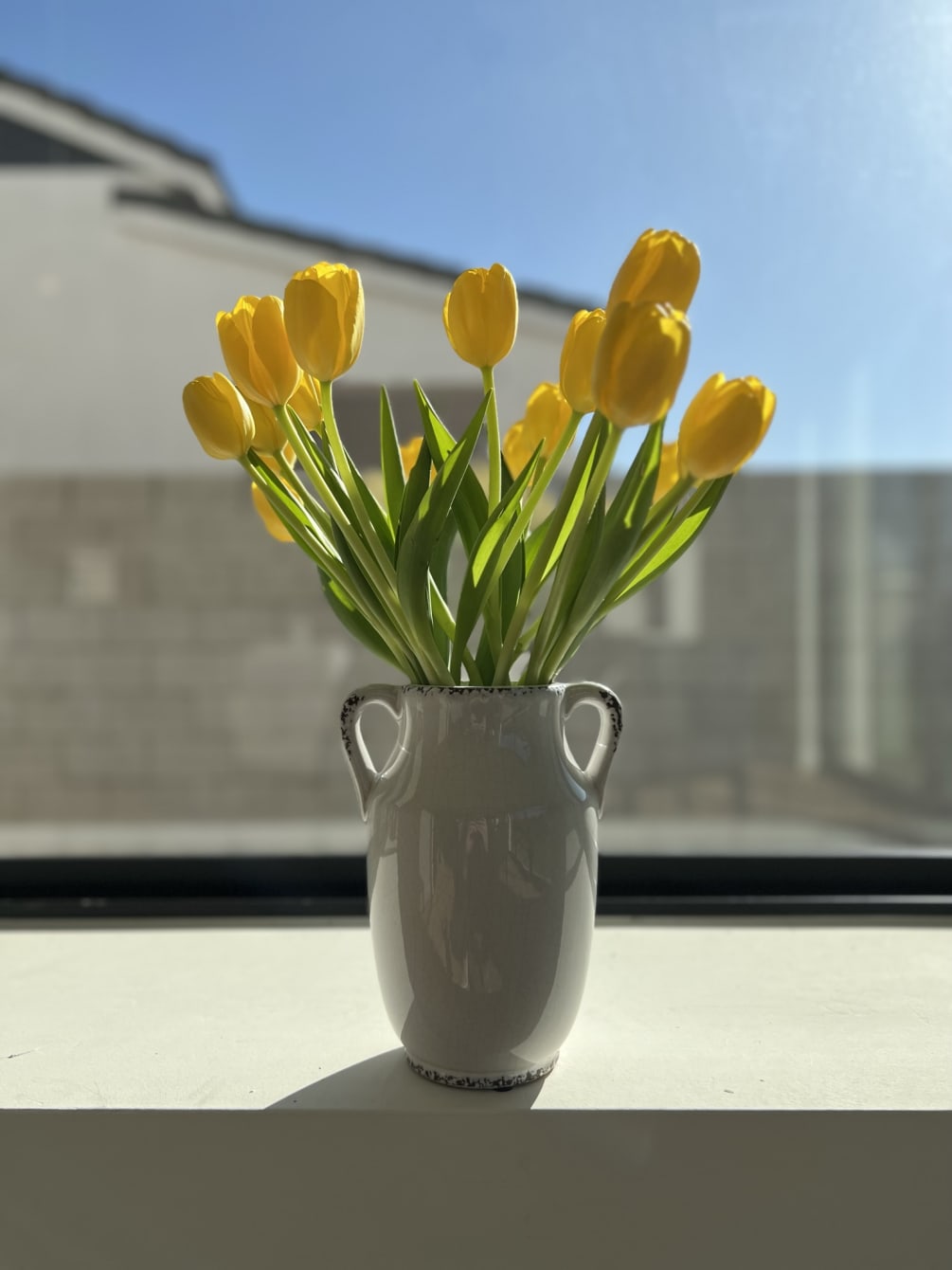 A dozen of premium tulips in a glass or ceramic vase. Vase