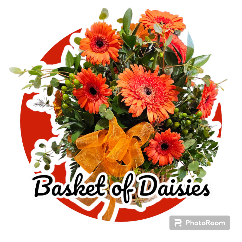 A basket of Gerber daisies. 