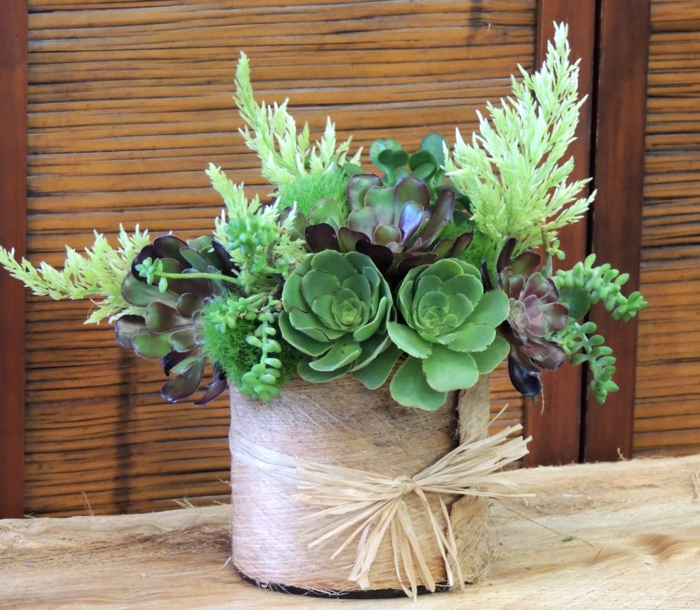 Succulents, succulents, and more succulents! We combine this lovely arrangement with dianthus