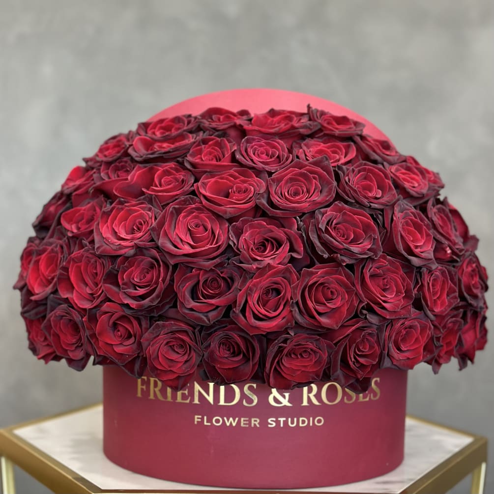 Baccara roses on sale