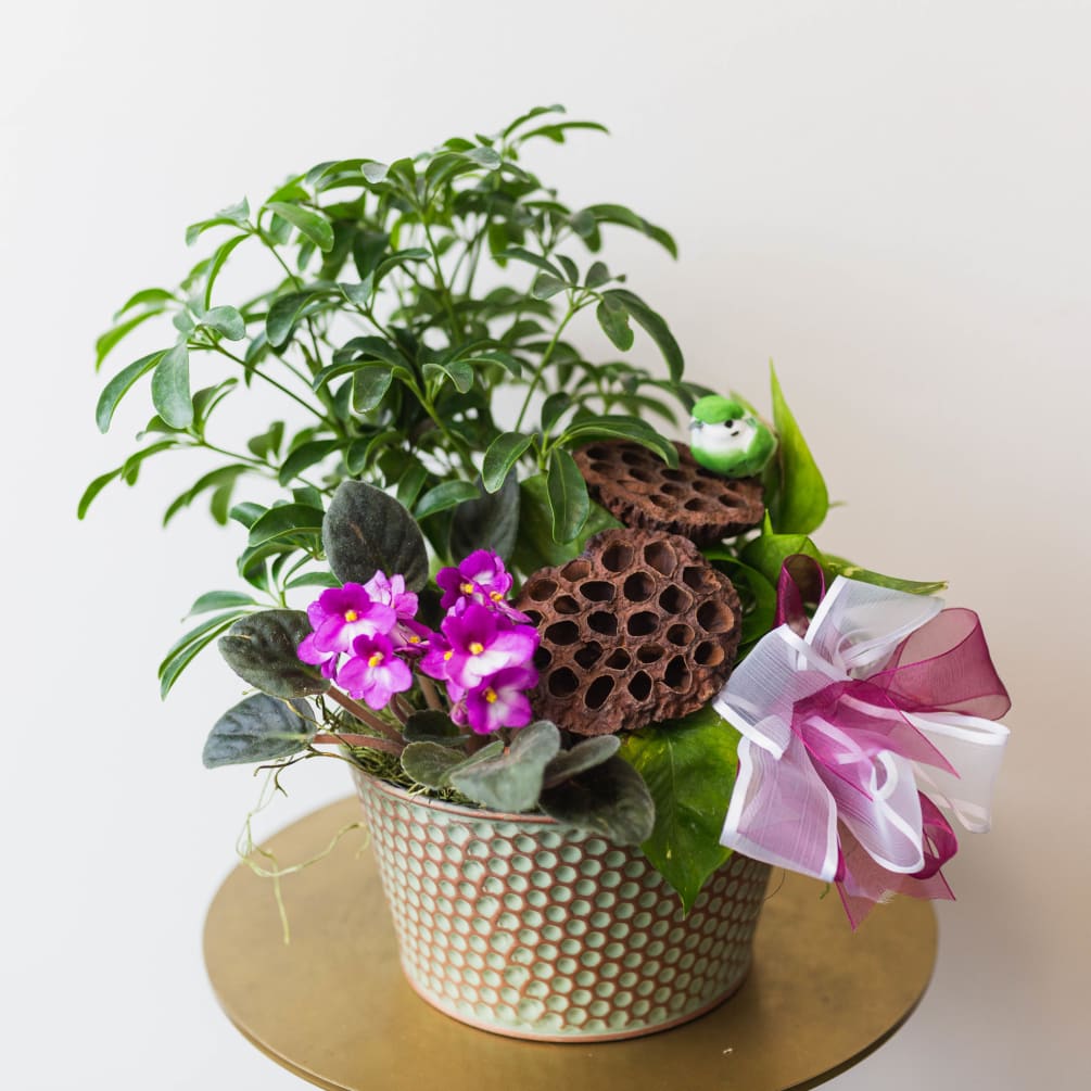 A beautiful basket of green and blooming plants to brighten every day.