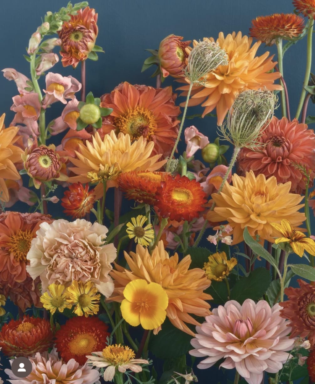 Our designer will pull together a gorgeous seasonal bouquet with the freshest