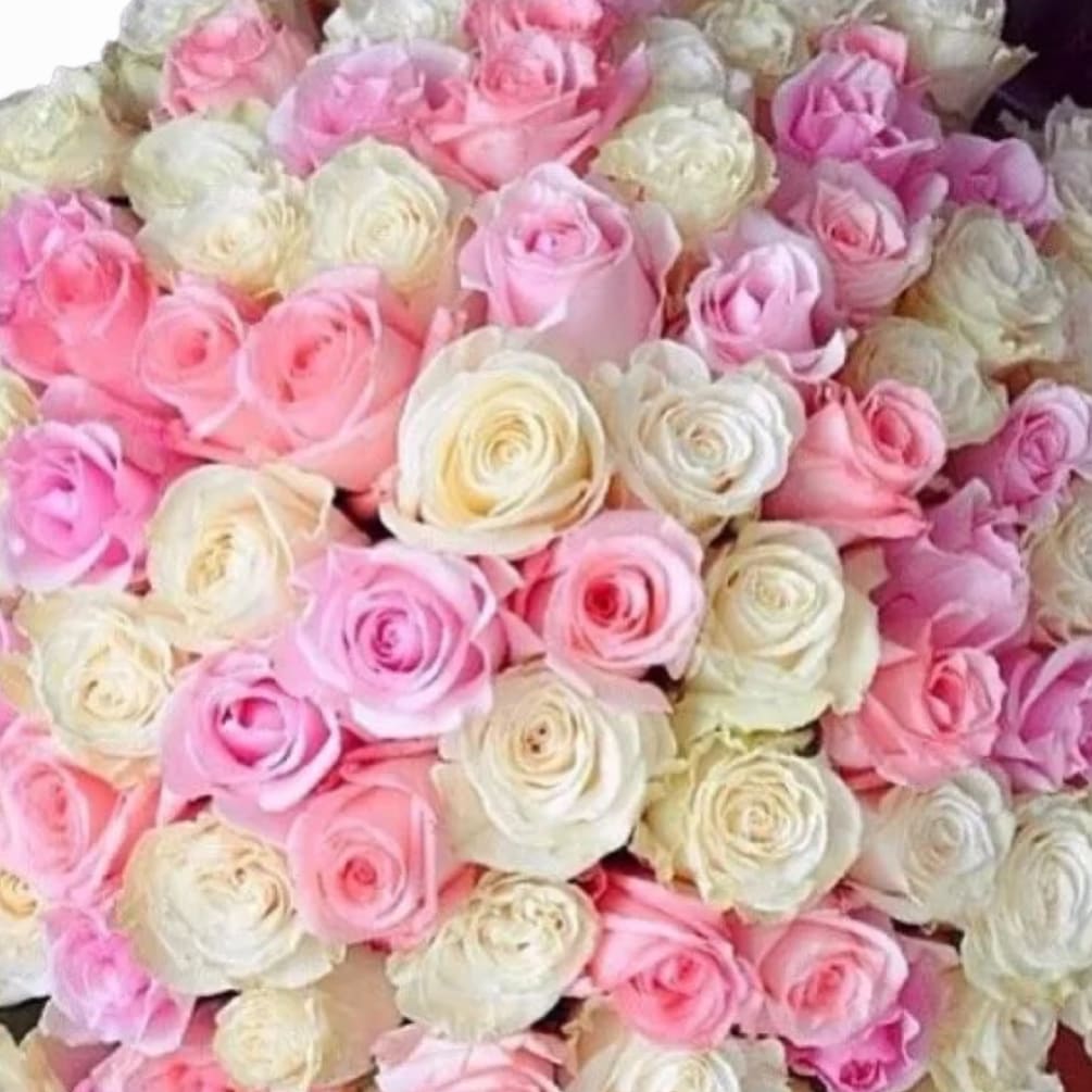 100 beautiful mixed pink and white roses, designed with a modern flare.