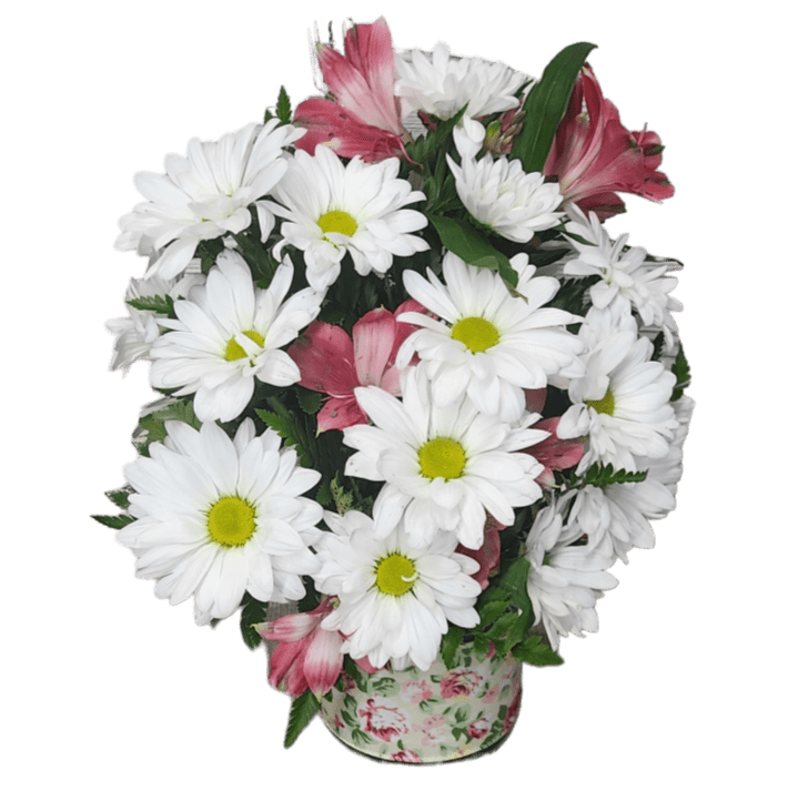Send your loved one a Petite Blossom arrangement. This design includes Daisies
