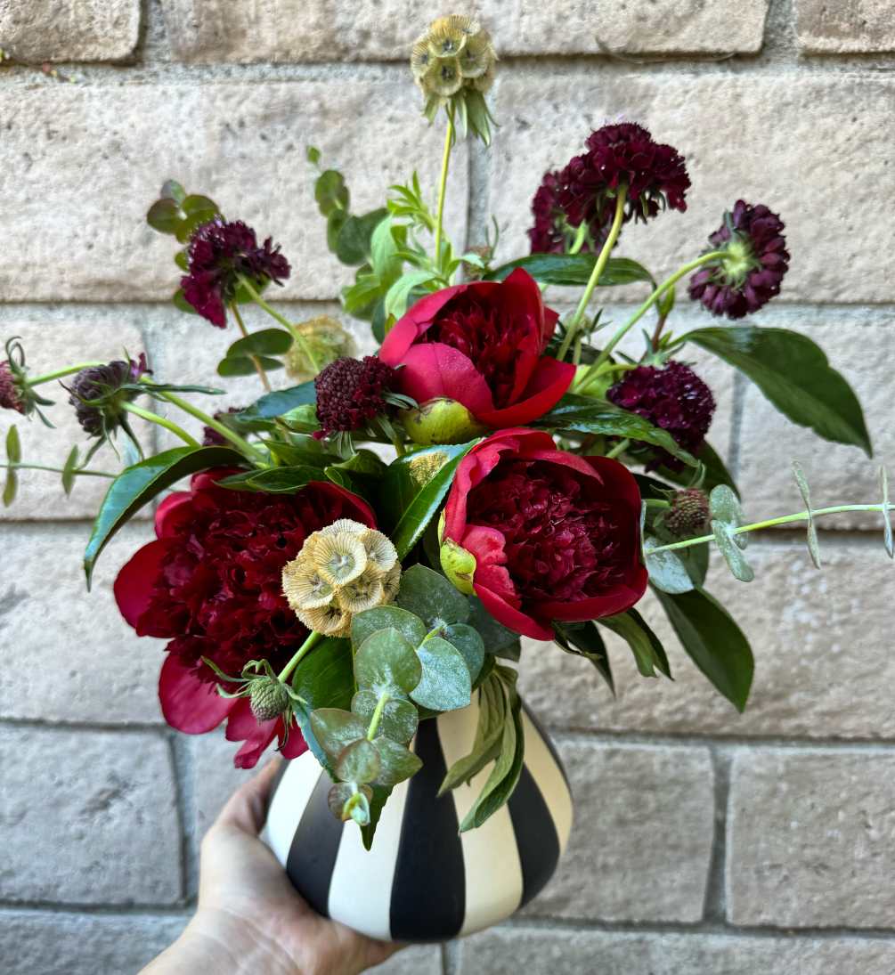 A striking and romantic gift of red Peonies and black Scabiosa, carefully