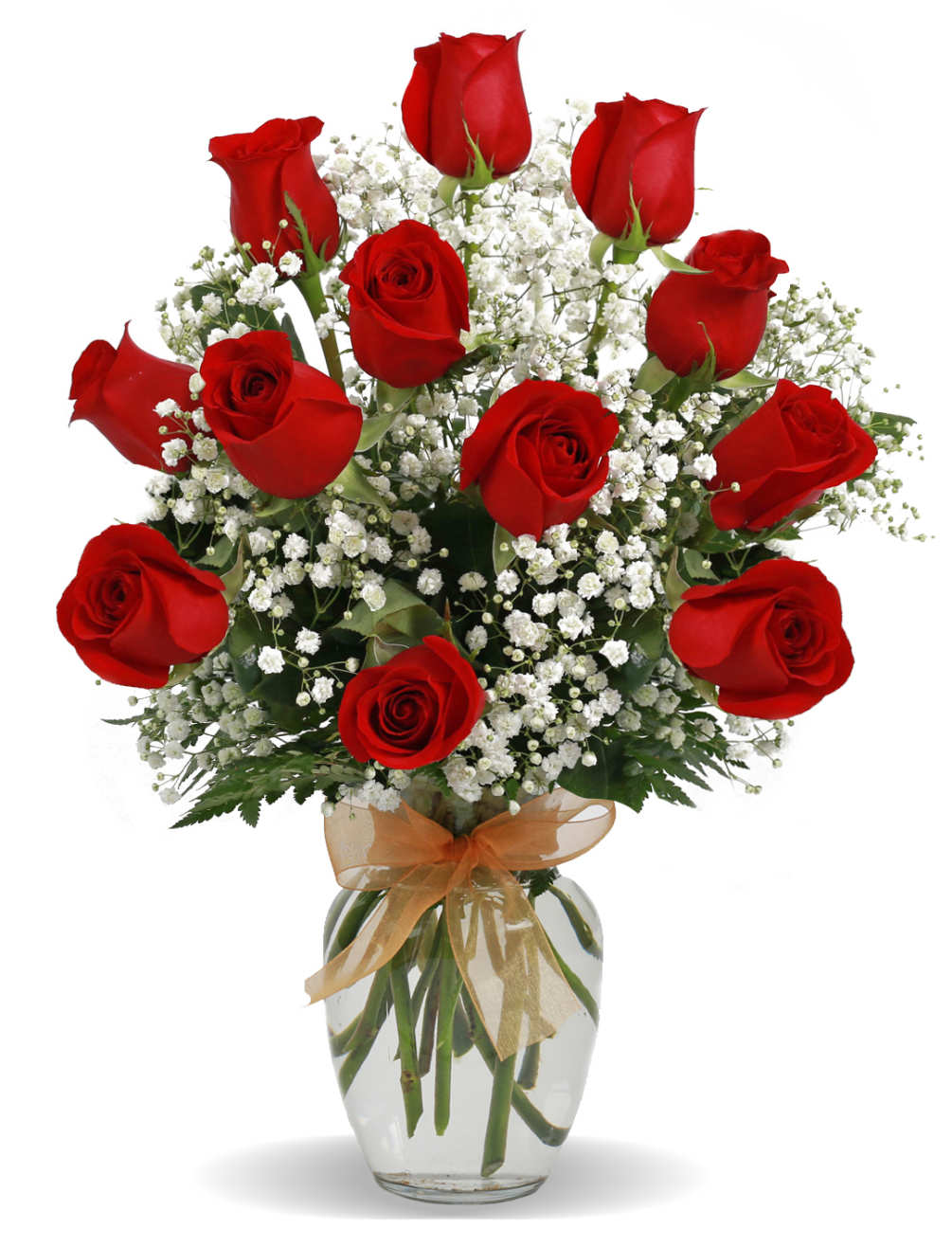 dozen red rosas with bow