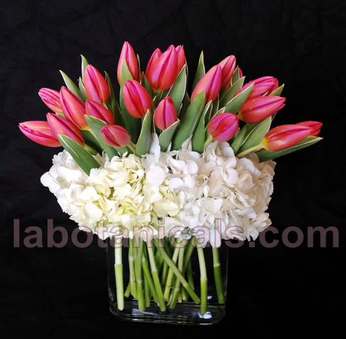 Dutch tulips are always exquisite, but in this vibrant hot pink hue