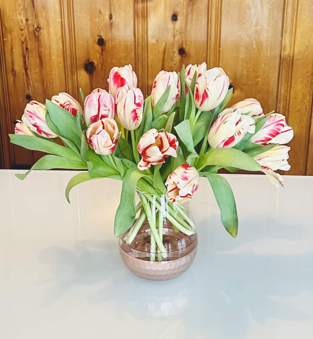 ... it&#039;s not much.
thats the saying when it comes to Tulips. These