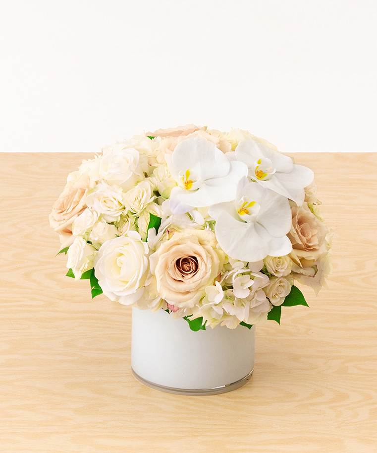 A bed of white hydrangea boasting white and champagne roses with an