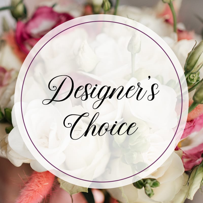 Designer&#039;s Choice