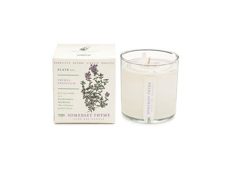 These specialty pure soy candles are made with realistic scents that come