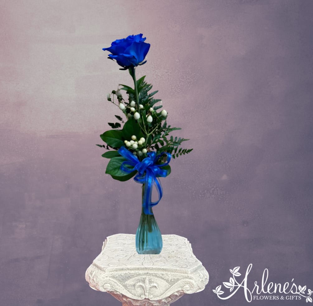 Single dyed bright blue fresh rose in a vase with filler.
