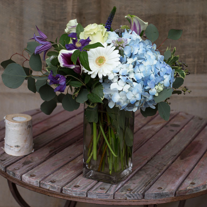 Blue hydrangea, purple mini-calla, white mini-gerber, white rose create a pleasing calm.