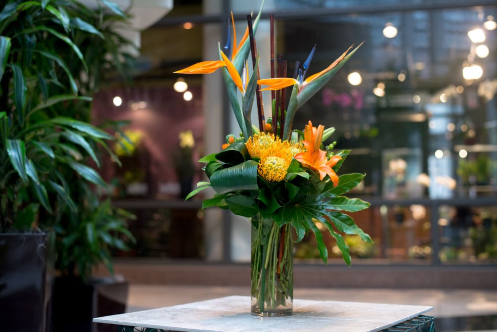 Birds of Paradise with Pincushion Protea artistically designed with accompanying floral, foliage