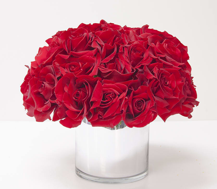 Red roses in a glass vase.
Regular- 1 Dozen