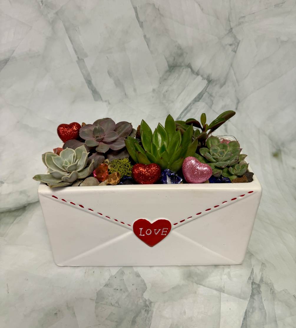 This succulent garden is the official planter for Valentine&rsquo;s Day. This rectangle