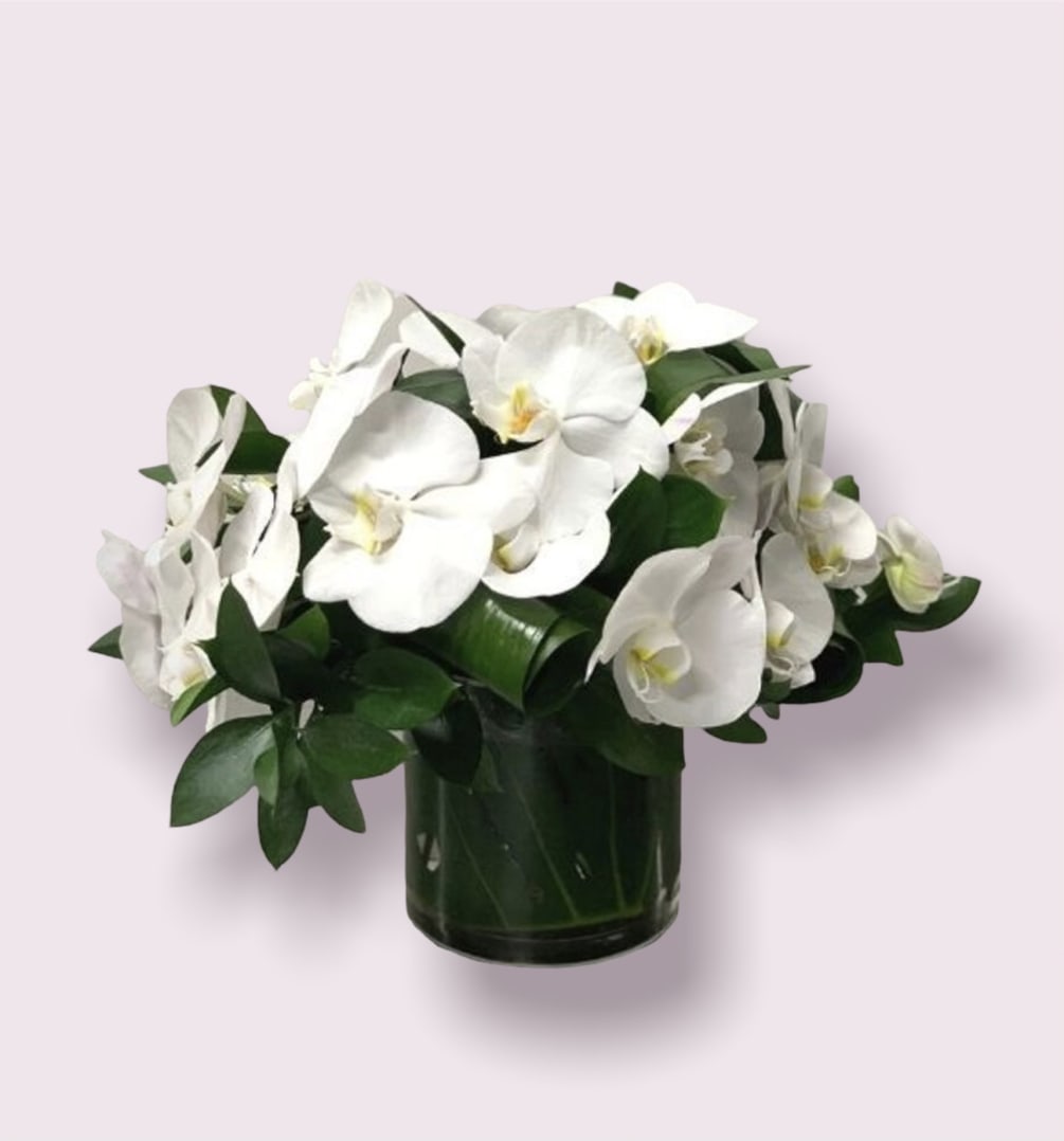 A gorgeous arrangement of sincerity, pureness, and perfection. Perfect for a housewarming