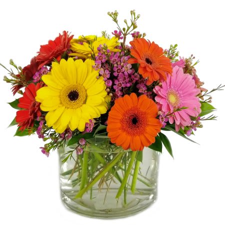 A beautiful arrangement with mixed of beautiful gerber&rsquo;s daisis, perfect for any