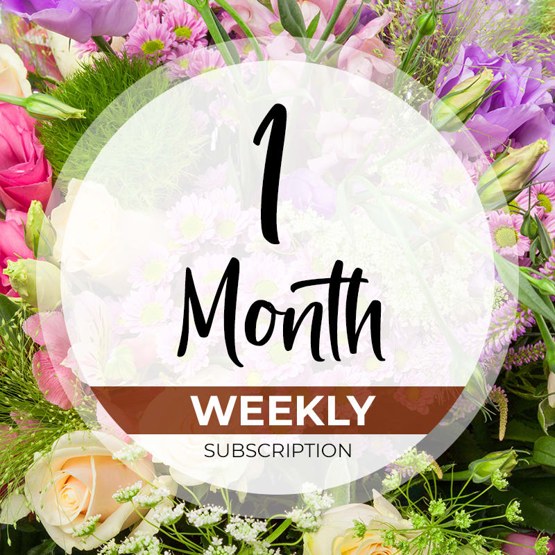 1 Month Weekly Subscription 