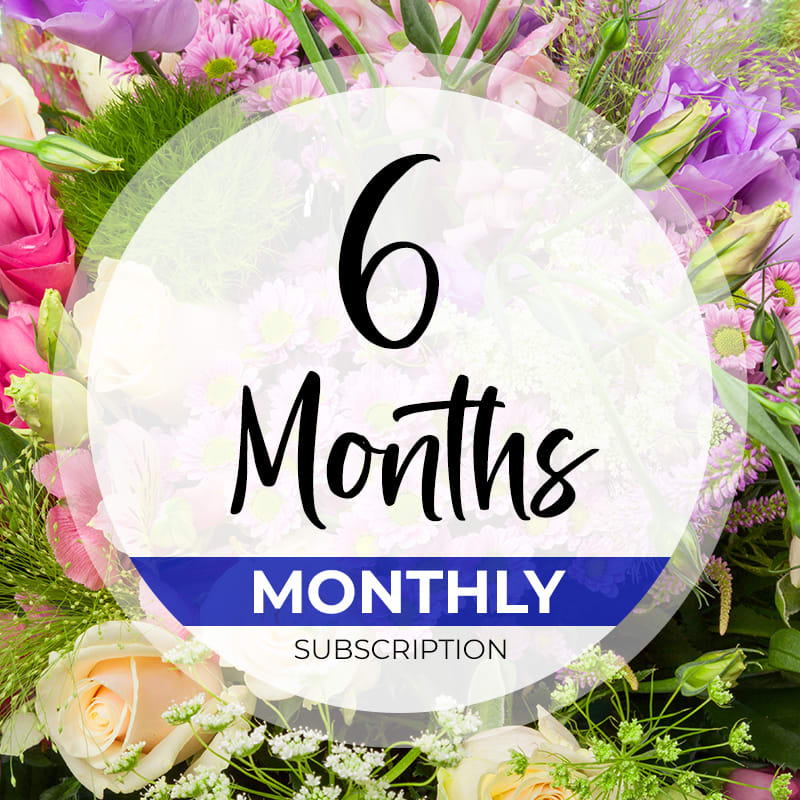 6 Months Monthly Subscription 
