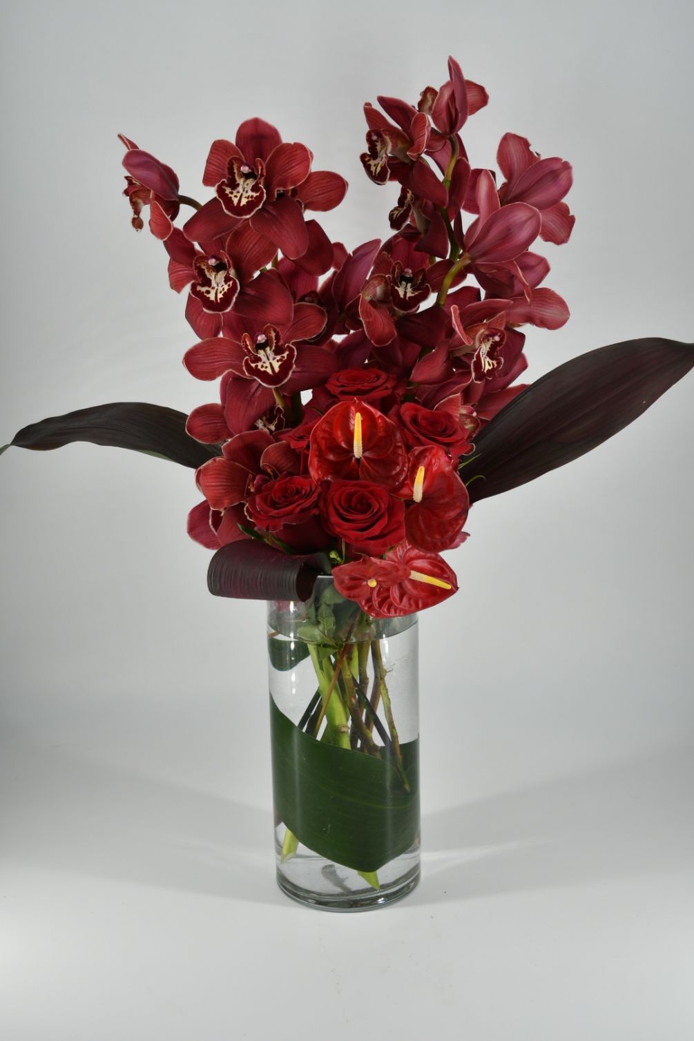 Allow these array of exotic blooms to transport you to the tropical