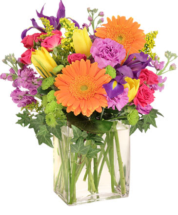 Square Vase filled with all the fun and flirty flowers: gerbera daisies