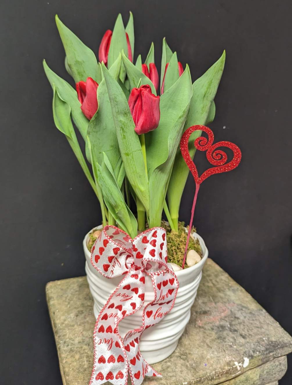 Red Hot Tulip Garden by Moss' Flower Shop & Flower Delivery