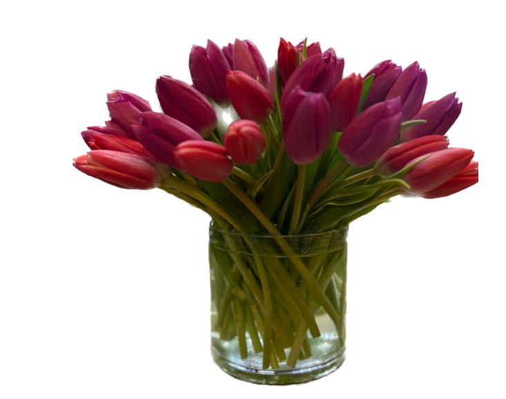 This arrangement is perfect for the tulip lover , bright colorful and